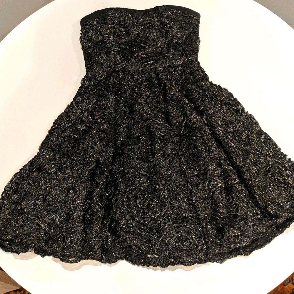 Princess Vera Wang Dress